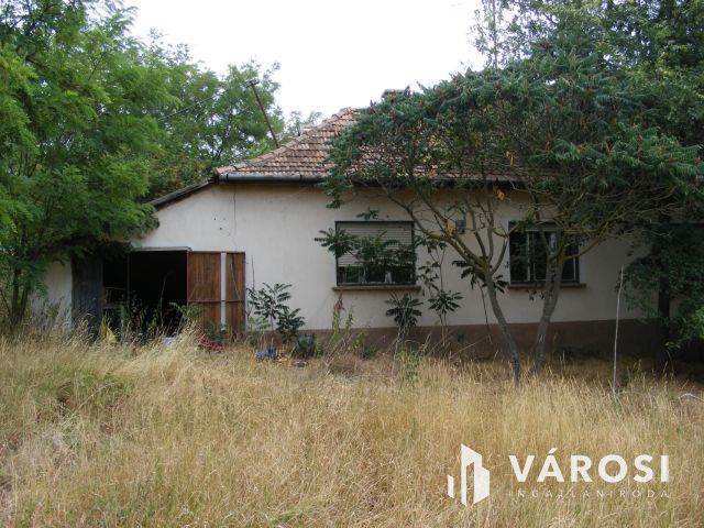 Mezőgazdasági telephely a Mezőföld szívében